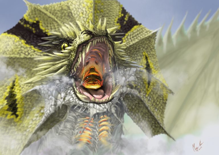 dragon du desert à collerette en train de se preparer à cracher du feu